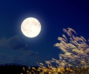 十三夜って何？十五夜との違いは？楽しみ方を紹介します