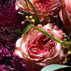 秋の花いつ咲くの？９月１０月１１月の秋の花リスト！