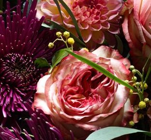 秋の花いつ咲くの？９月１０月１１月の秋の花リスト！