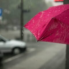 梅雨とは？期間は？特徴をご紹介します