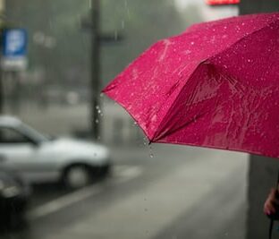 梅雨とは？期間は？特徴をご紹介します