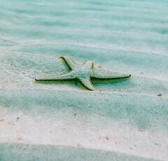 海開きとは？その基準は？いつからなの？