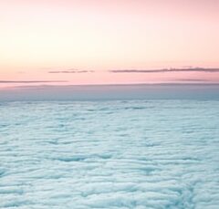 秋のお彼岸とは？何をするの？食べ物はこれを準備しよう！