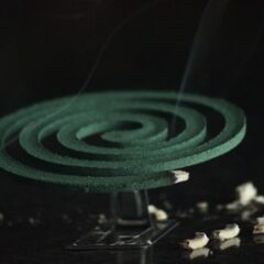 蚊に刺されすい人は？対策とかゆみを抑える方法