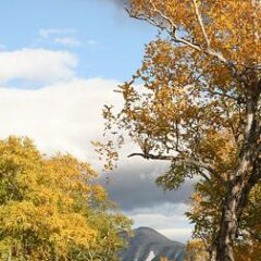 秋晴れとは？使い方は？例文をご紹介します！