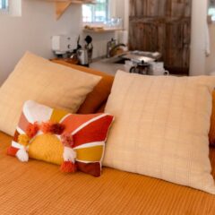 ダニが増える原因は？駆除方法と対策をご紹介します