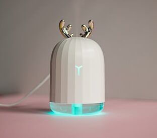 加湿器は何月から何月まで?どの時間帯に使う?どこに置く?