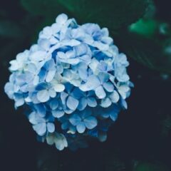 梅雨の不調の原因は何？どんな症状？対処法を知っておこう！