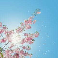 日焼け止めを塗り忘れやすい場所はどこ？原因と対策をご紹介