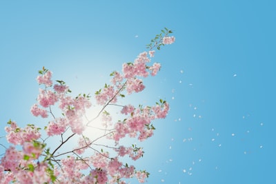 日焼け止め　塗り忘れ