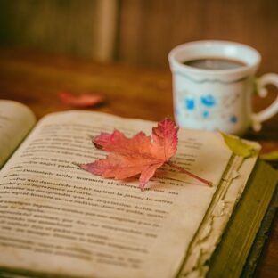 秋のはじまりに読みたい！本のおすすめジャンル3選