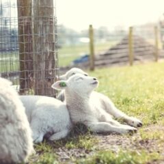 4月はがんばらない！無理する理由と思い込み・追い込まない習慣