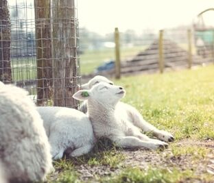4月はがんばらない！無理する理由と思い込み・追い込まない習慣