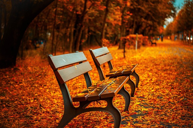 秋　紅葉